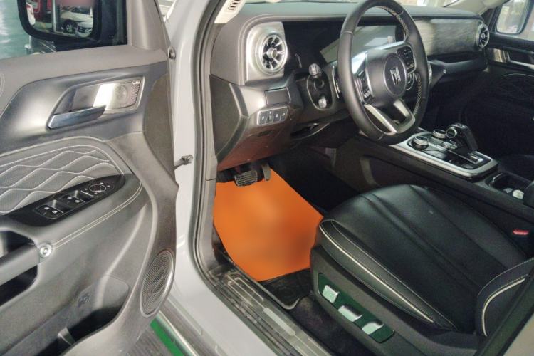 Used Tank 300 2024 2.0T Crosser