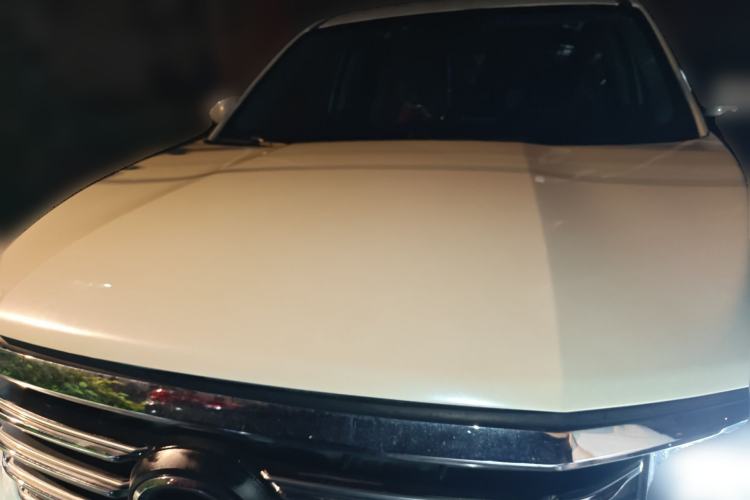 Used GAC Trumpchi GS8 2017 320T Four-Wheel Drive Luxury Smart Connectivity Version (7 Seats) Front