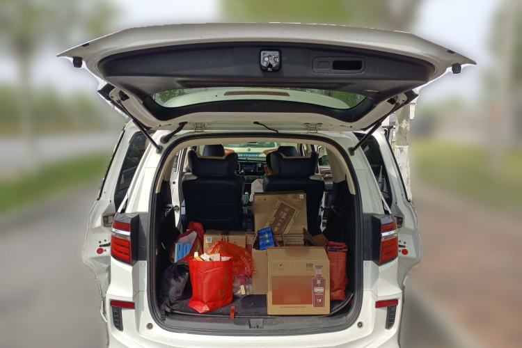 Used Honda Elysion 2016 2.4L Style Edition
