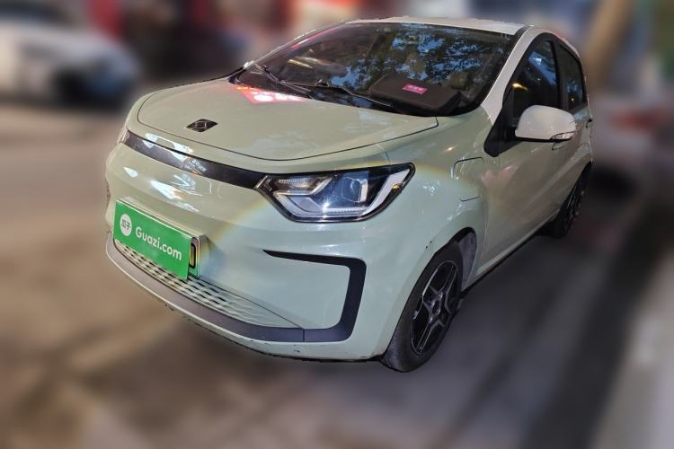 Used SOL E10X 2022 Flower Fairy Design Four-Leaf Clover