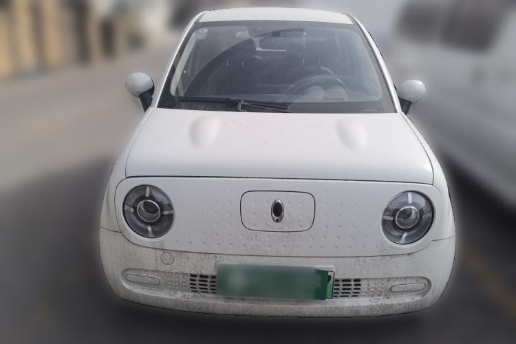 Used ORA Black Cat 2019 351 km Fun Edition