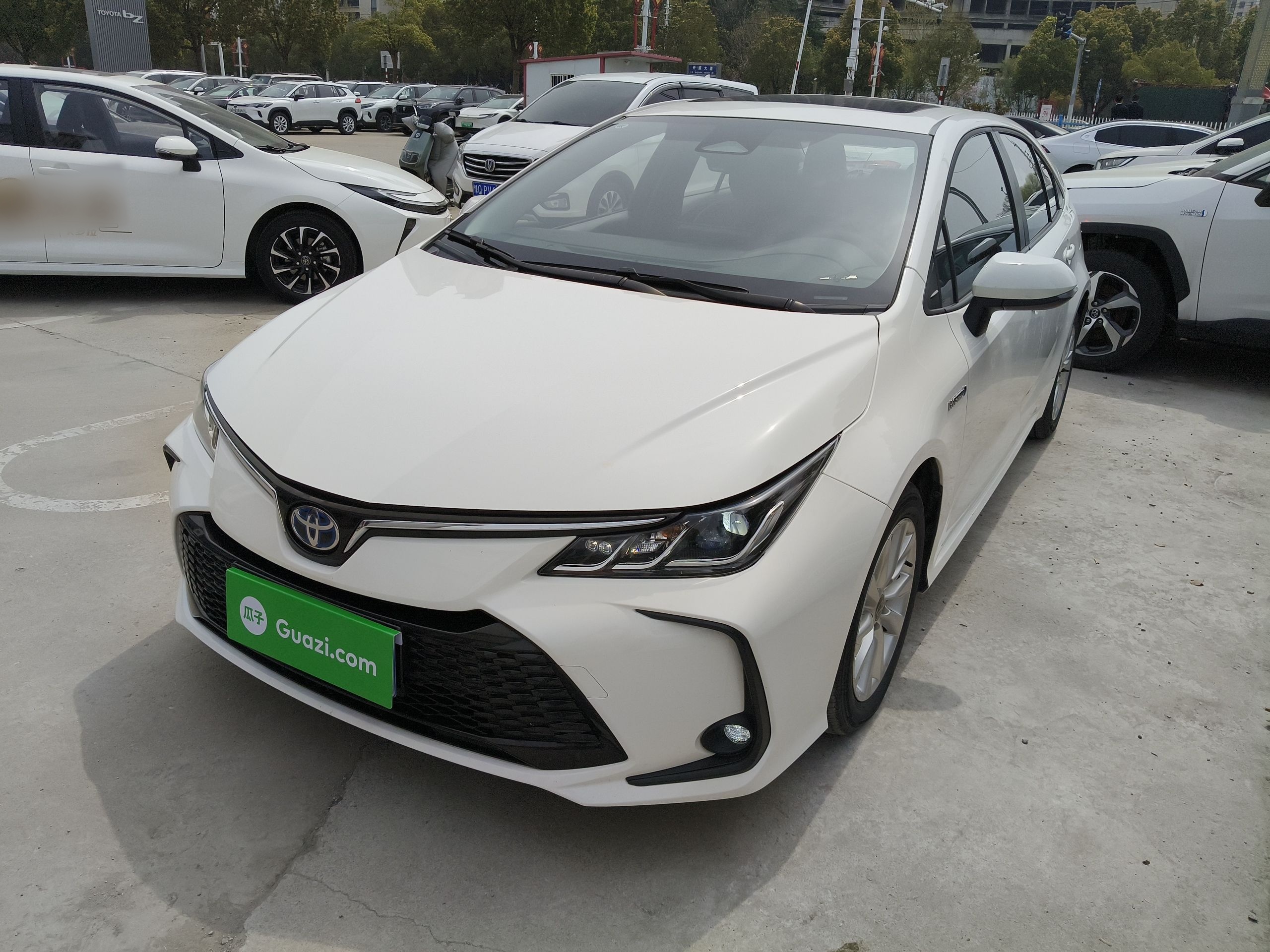 Parte inferior delantera