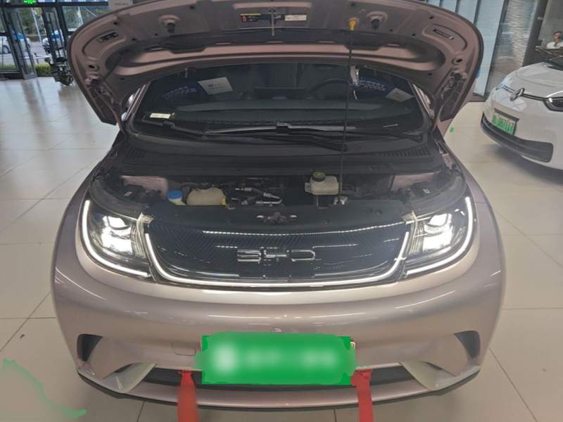 Used BYD Dolphin 2021 405 km Fashion Edition — 19