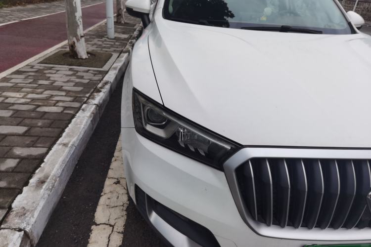 Used BORGWARD BX5 2020 20TGDI Automatic Two-Wheel Drive Pioneer Edition