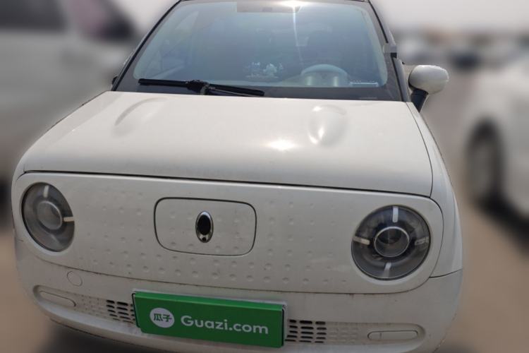 Used ORA Black Cat 2019 310 km Dynamic Edition