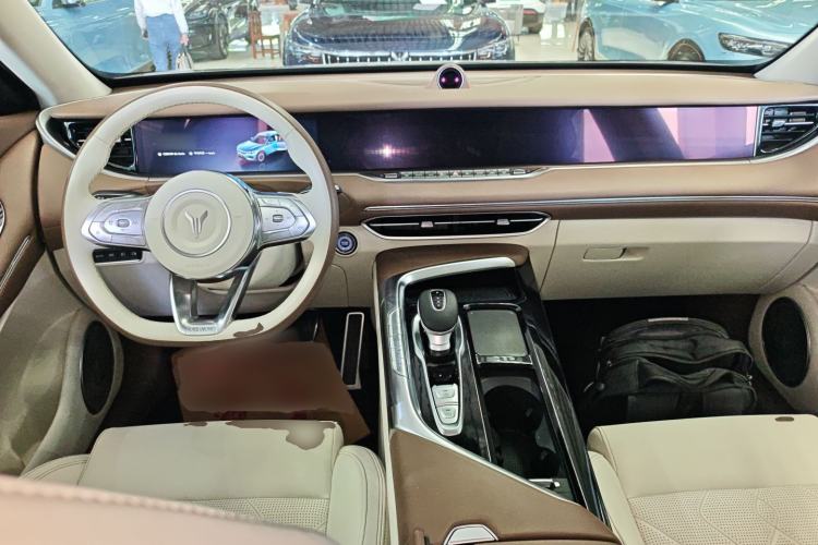 Used VOYAH FREE 2021 Four-Wheel Drive Standard Range-Extended Exclusive Luxury Package Center Console