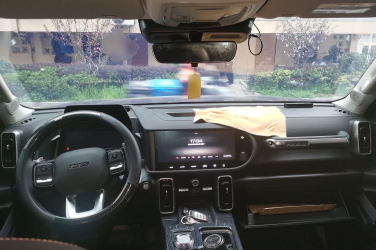 Used Haval DARGO 2024 2.0T DCT Chinese Rural Dog Edition
