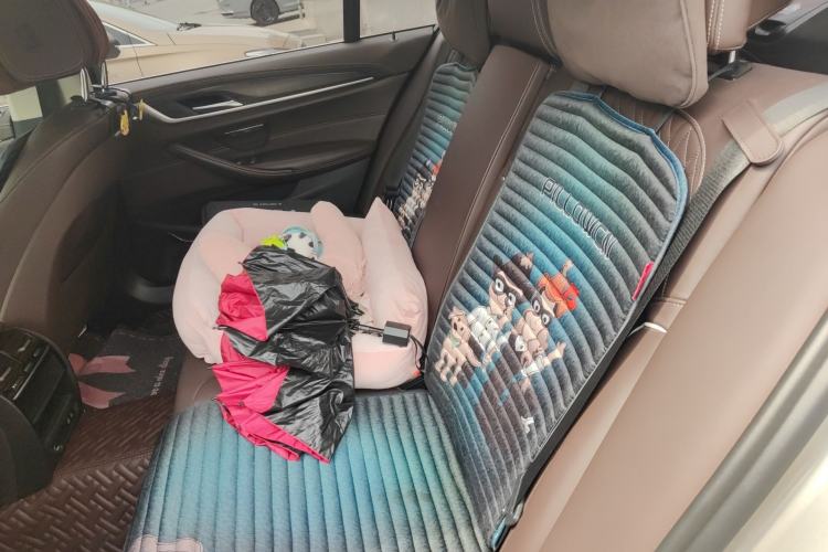 Used BMW 5 Series 2020 530Li xDrive Luxury Package
