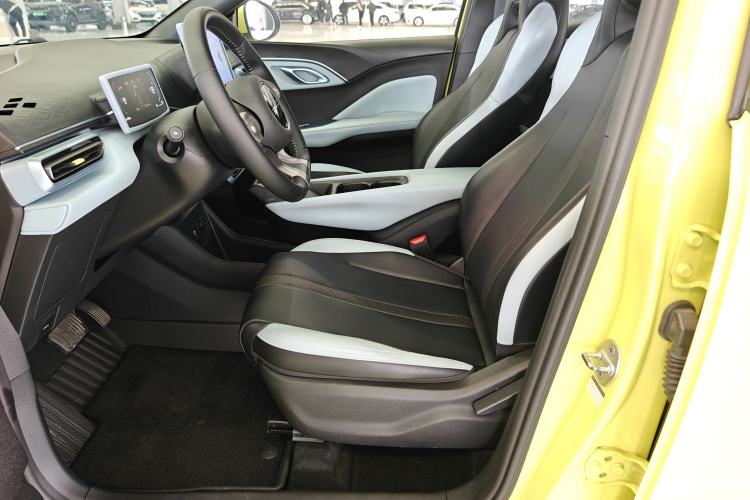 Used BYD Seagull 2023 Free Edition Left Front Seat