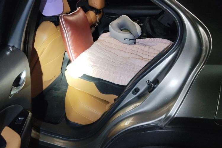 Used Lexus UX New Energy 2020 300e Pure·Joy Edition Left Rear Seat