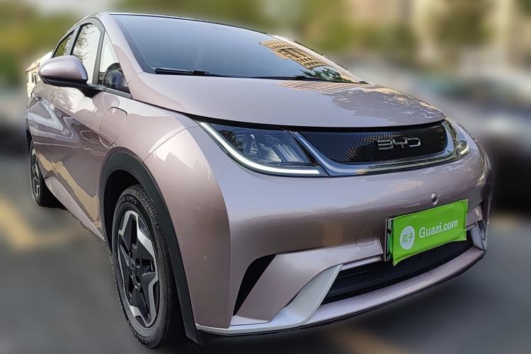 Used BYD Dolphin 2021 405 km Free Version