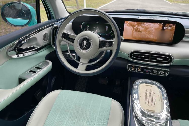 Used ORA Ballet Cat 2023 401 km Luxury Version
