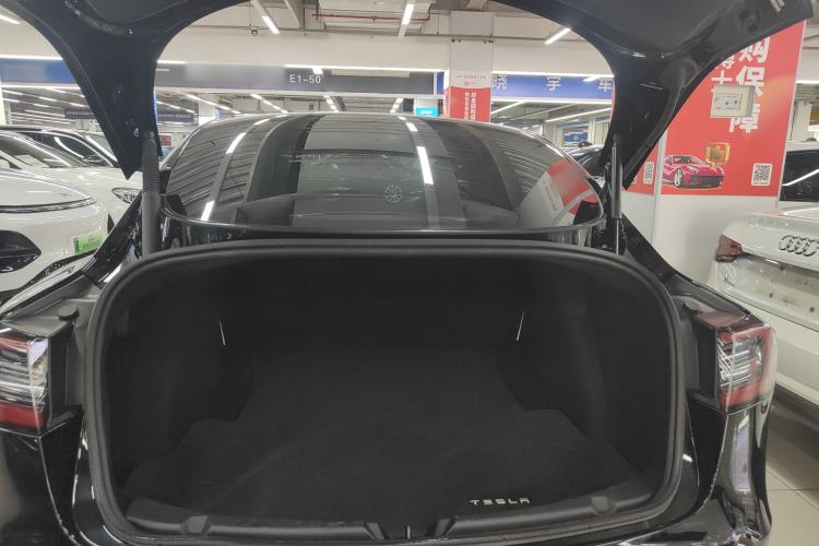 Used Tesla Model 3 2021 Performance High-Performance All-Wheel-Drive Version