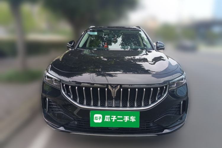 Used VOYAH FREE 2021 Four-Wheel Drive Standard Range-Extended Exclusive Luxury Package
