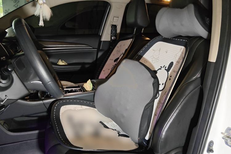 Used GAC Trumpchi GA6 2022 270T Automatic Elite Edition Left Front Seat