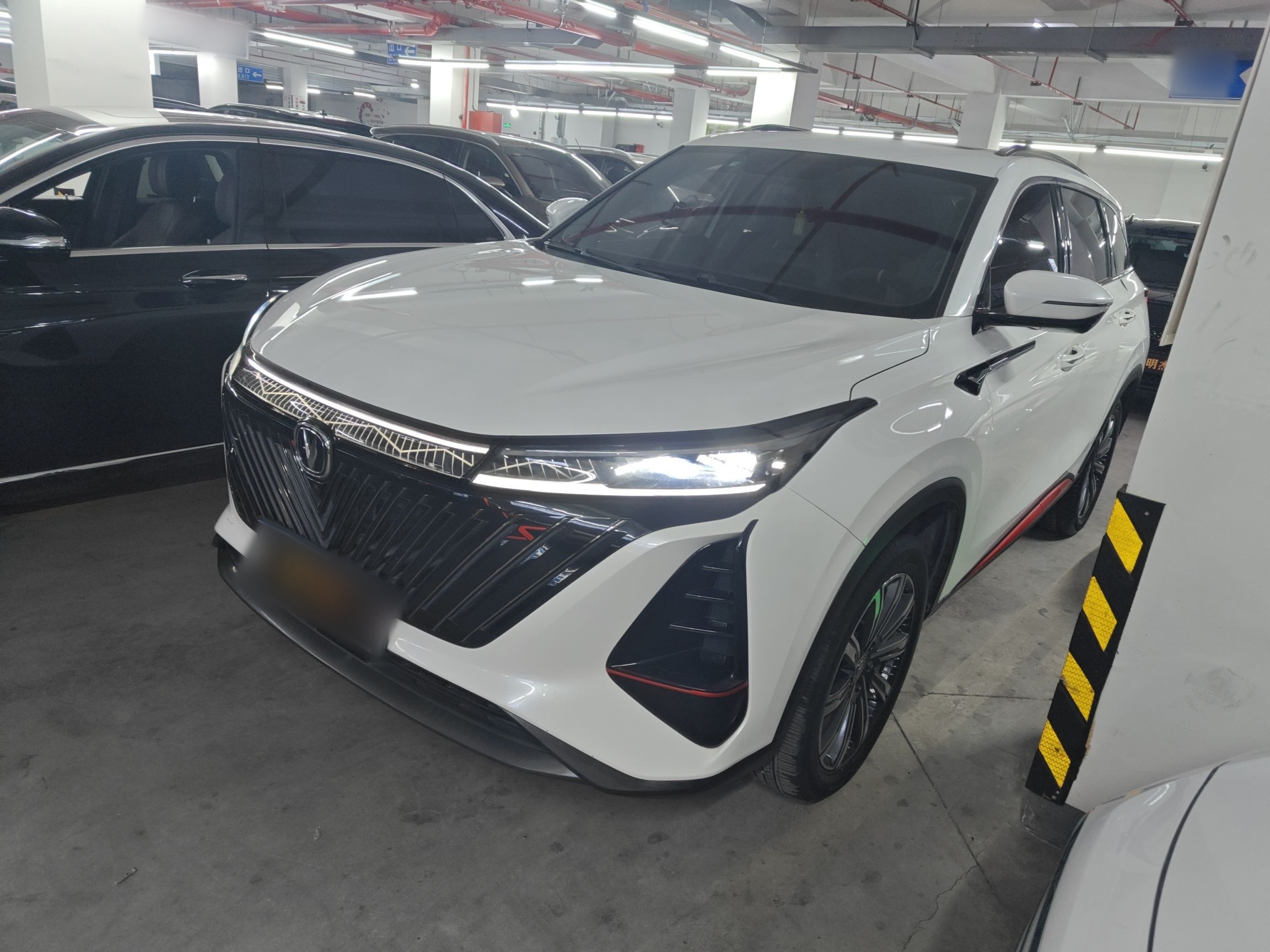 Parte inferior delantera