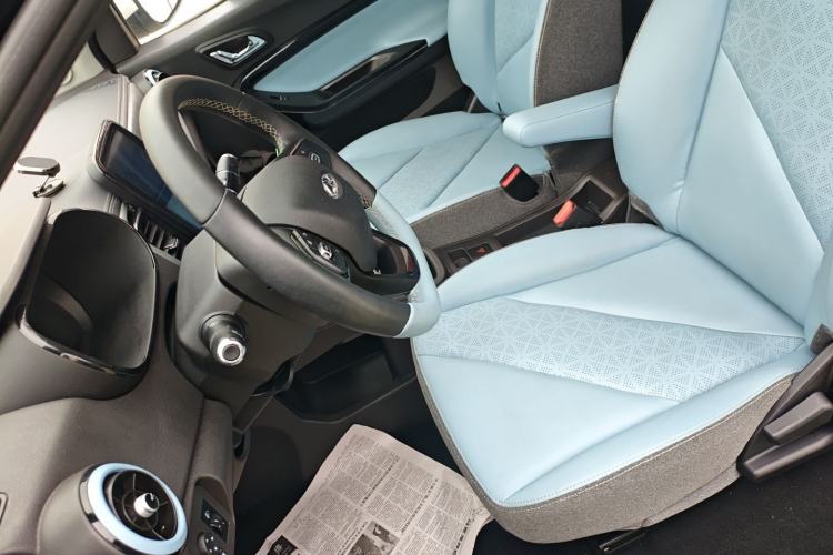 Used Chery Little Ant 2023 251km True Love Edition Lithium Iron Phosphate Left Front Seat