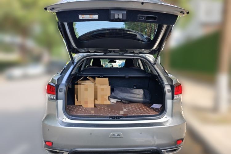 Used Lexus RX 2021 300 Four-Wheel Drive Special Edition Trunk