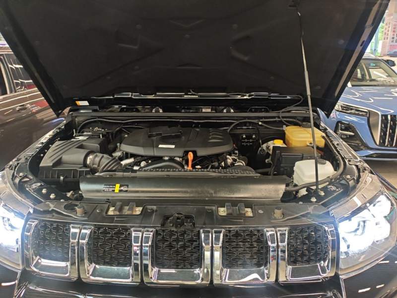 Used BAIC Off-Road BJ40 2024 2.0T Urban Hunter Honor Edition — 19