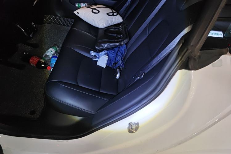 Used Tesla Model 3 (Import) 2019 Standard Range Rear-Wheel Drive Upgraded Version (60 kWh)