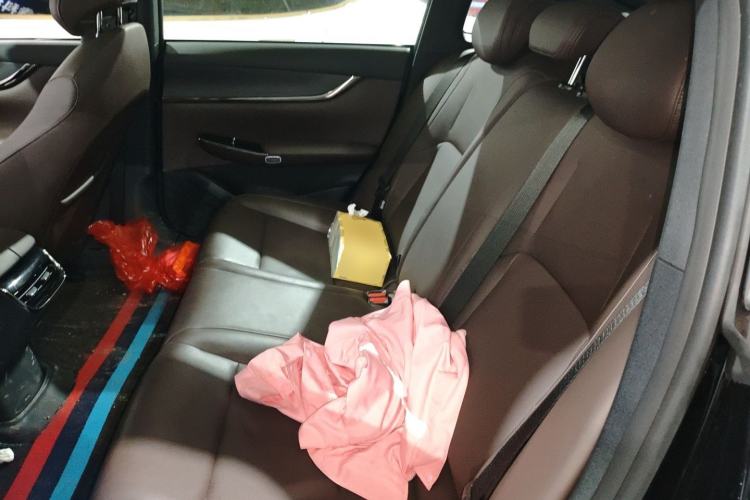 Used Qiyuan A07 2025 Blue Whale Pure Electric Version 625 Luxury Model