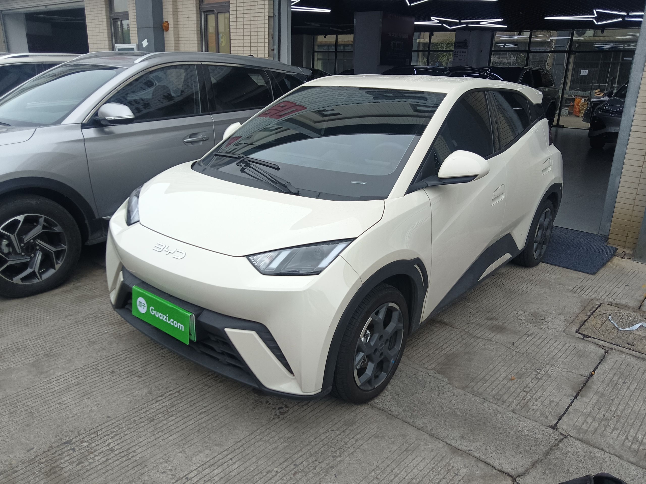 Parte inferior delantera