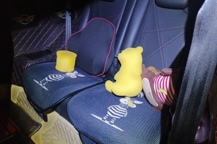 Used Chery QQ Little Ant 2022 Sweet Pink Edition Half-Sugar Version Lithium Iron Phosphate 30 kW 301 km Left Rear Seat