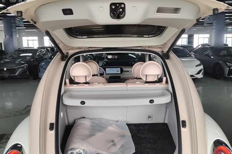 Used ORA Ballet Cat 2023 401 km Luxury Version