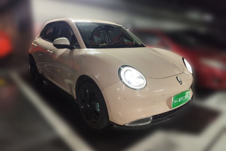 Used ORA Good Cat 2021 400km Standard Range Athena Edition Lithium-Ion Battery