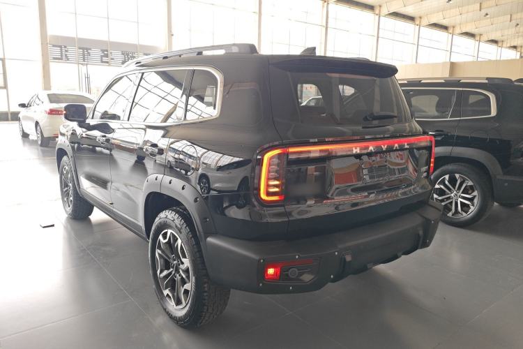Used Haval DARGO 2024 2.0T DCT Chinese Rural Dog Edition

