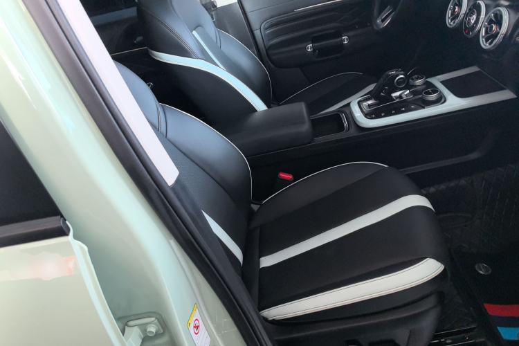 Used Tank 300 2021 City Edition 2.0T—Truly Stylish