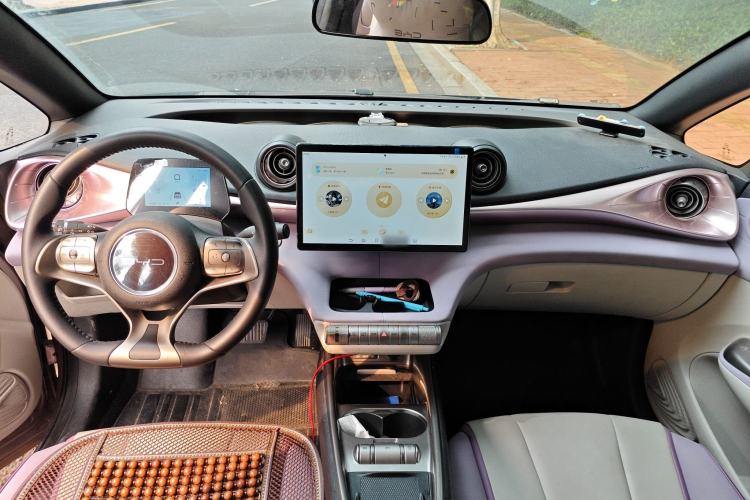 Used BYD Dolphin 2021 401km Knight Edition Center Console