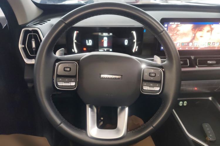 Used Haval H5 2023 2.0T Automatic All-Wheel Drive LinkedIn Gasoline Steering Wheel