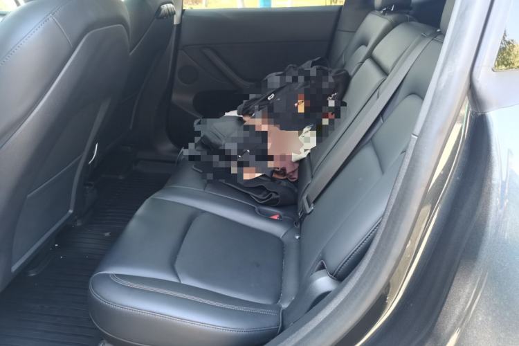 Used Tesla Model Y 2024 Rear-Wheel-Drive Version Left Rear Seat