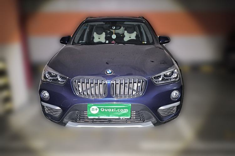 Used BMW X1 2019 xDrive20Li Luxury Model Front