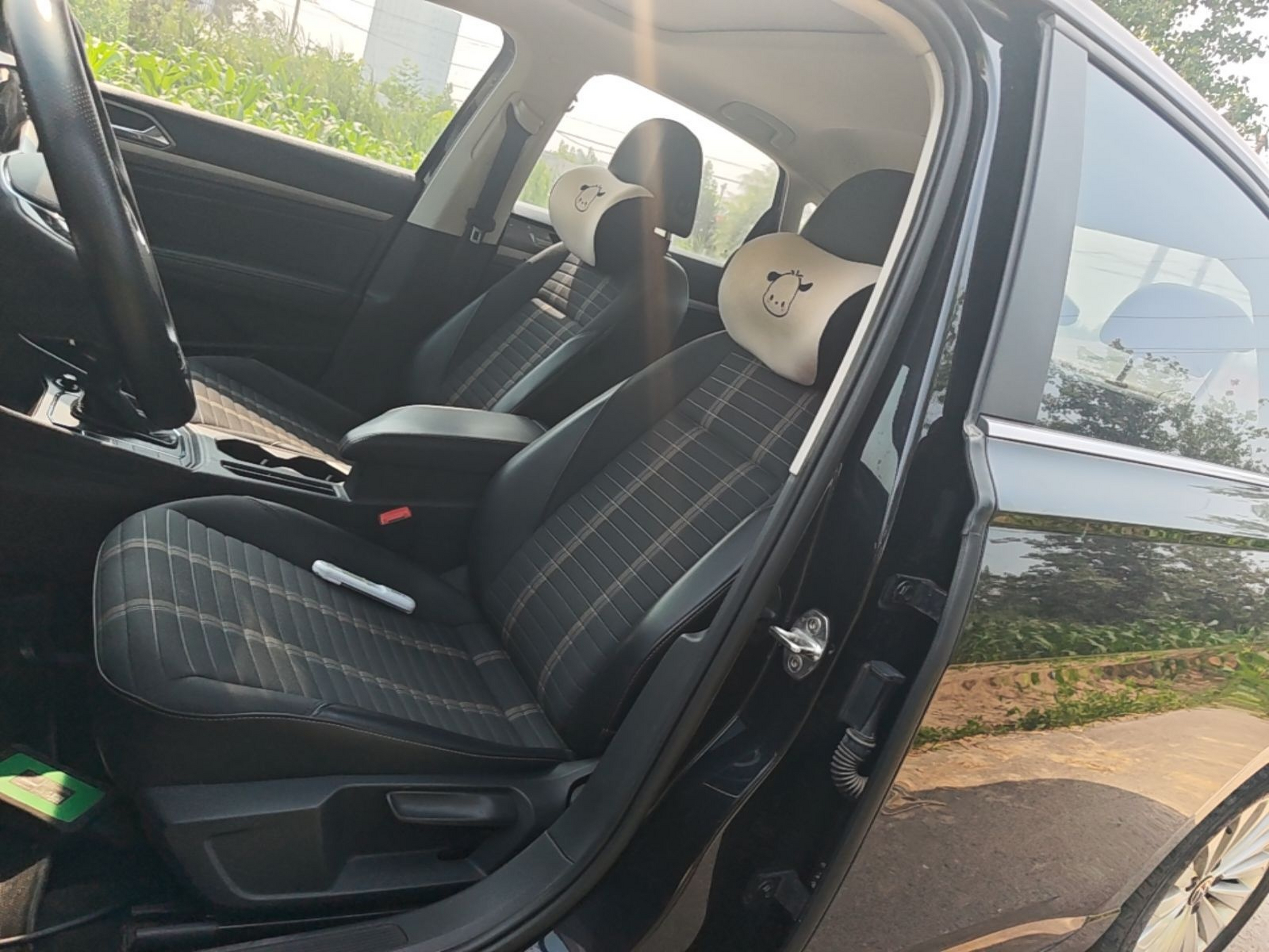 Interior delantero
