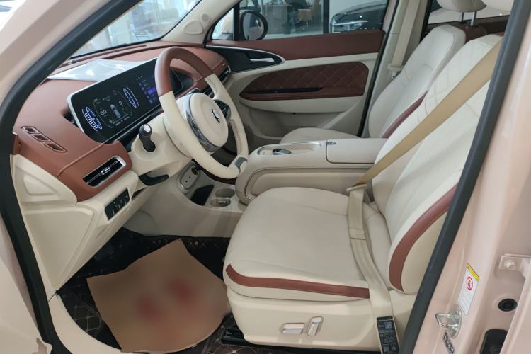 Used ORA Good Cat 2023 401 km Standard Range Comfort Version Lithium Iron Phosphate
