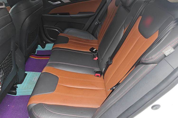 Used BYD Qin New Energy 2015 1.5T Dual-Crown Flagship Plus Edition Left Rear Seat