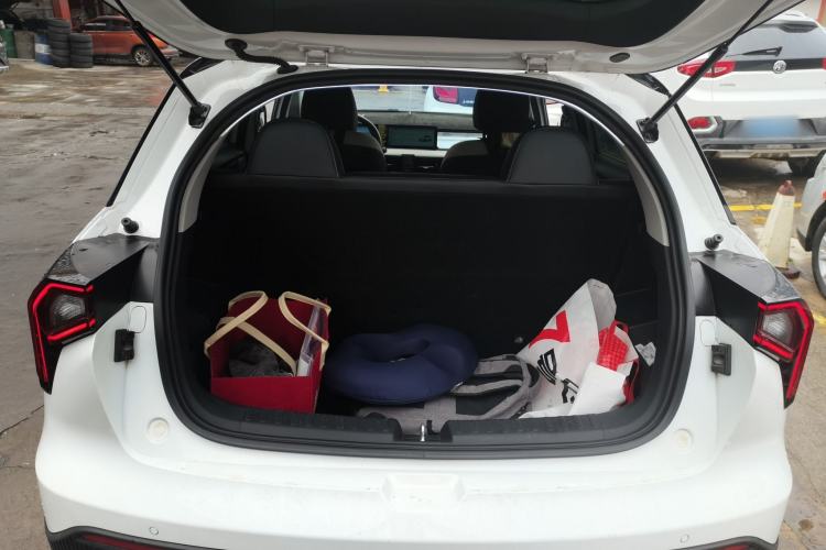 Used Geometry E Firefly 2022 401KM Lightning Tiger 4-Seater