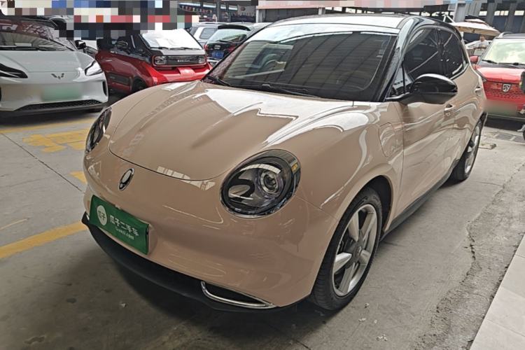 Used ORA Good Cat 2023 401 km Standard Range Luxury Version Lithium Iron Phosphate