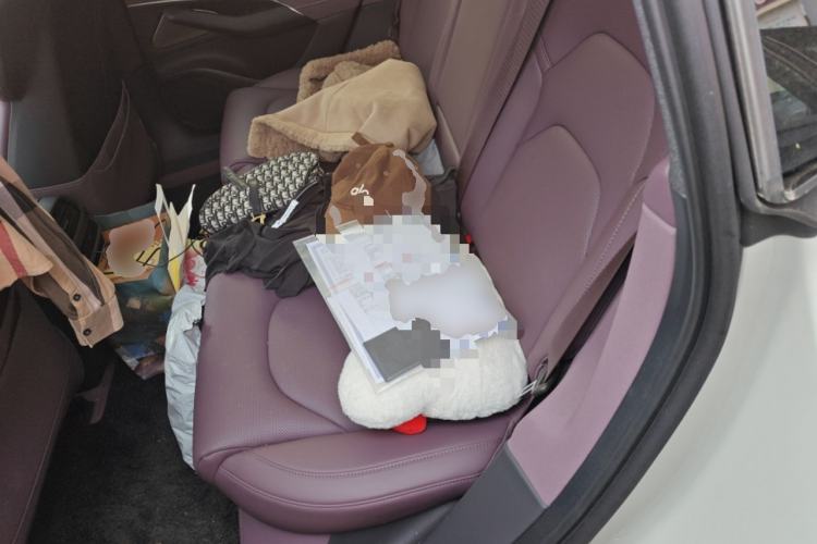 Used Xiaomi Auto SU7 2024 Rear-Drive Long-Range Intelligent Driving Version Left Rear Seat