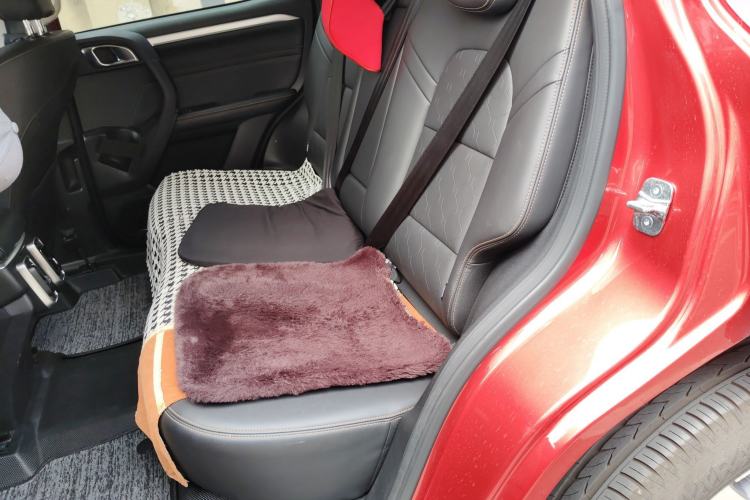 Used Haval DARGO 2021 2.0T DCT 4x4 Chinese Rural Dog Edition
