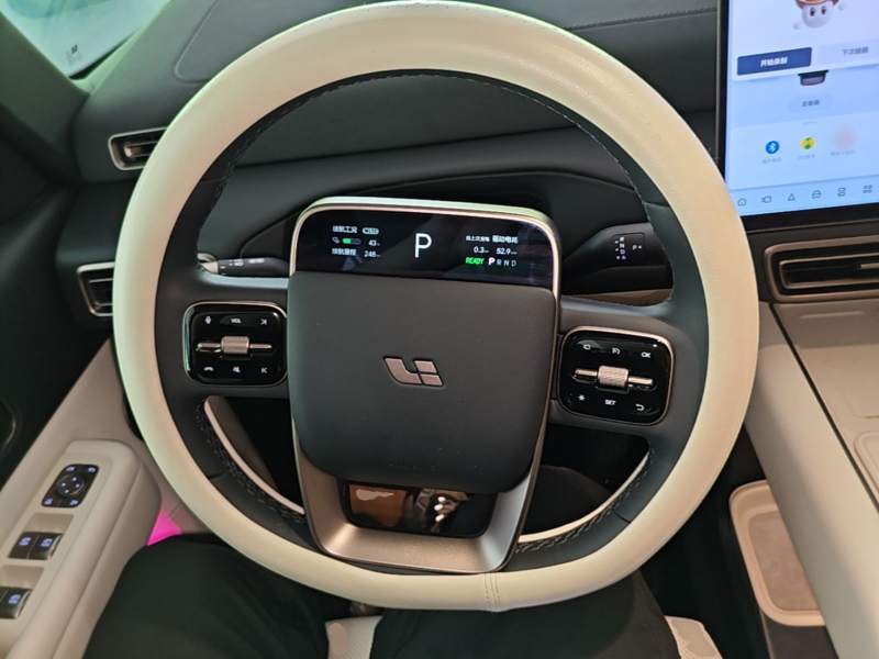 Used Li Auto MEGA 2025 Home Family Special Edition — 10