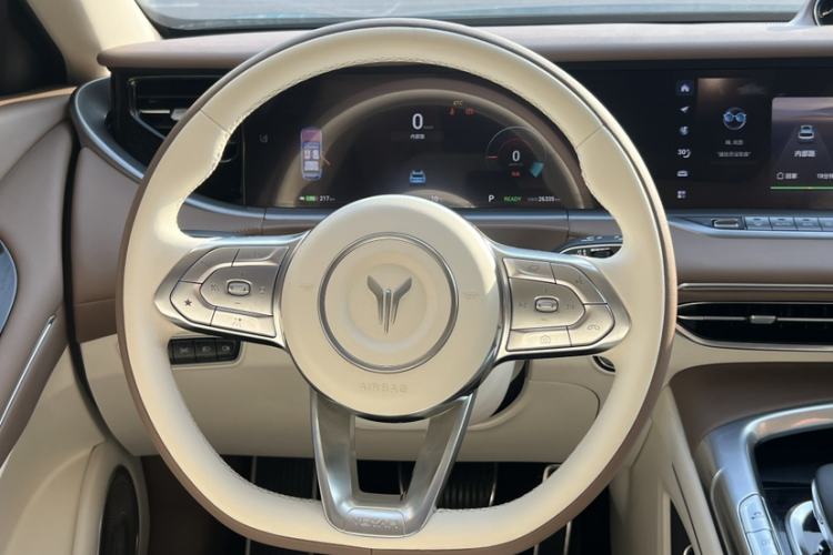 Used VOYAH FREE 2021 Four-Wheel Drive Standard All-Electric Exclusive Luxury Package Steering Wheel