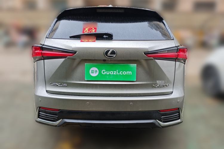 Used Lexus NX 2020 200 All-Wheel Drive Fēngshàng Version China VI Standard Exterior 4