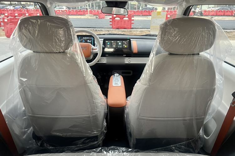 Used Qiyuan Lumin 2025 301km Honey Dew Edition
