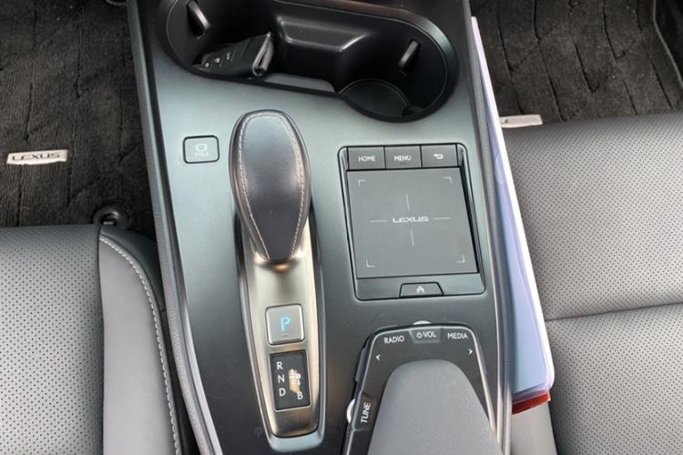 Used Lexus UX New Energy 2020 300e Pure·Joy Edition