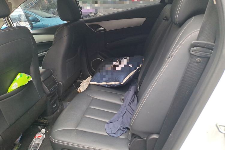 Used BYD Song MAX 2021 Upgraded Model 1.5T Automatic Luxury 7-Seater Left Rear Seat