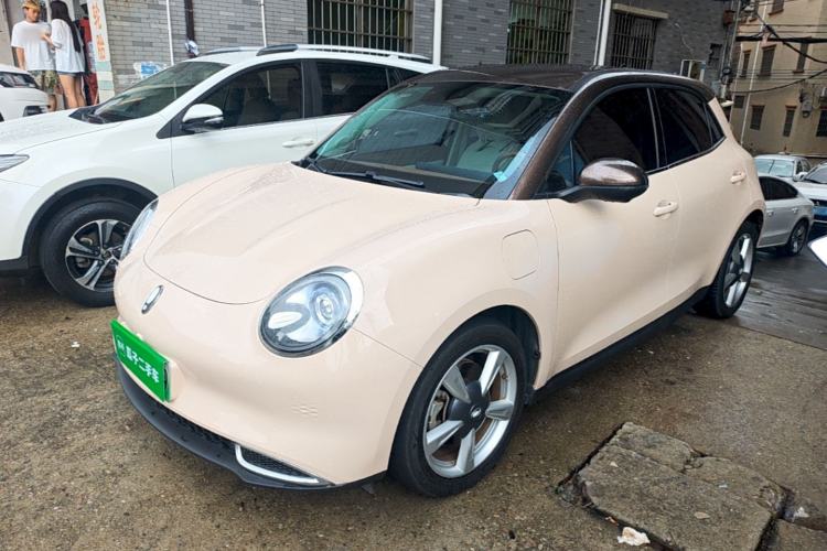 Used ORA Good Cat 2022 400km Standard Range Luxury Version Lithium Iron Phosphate