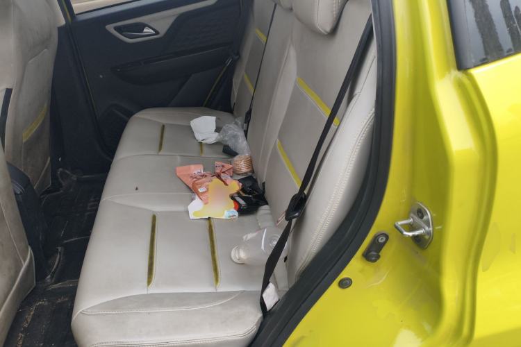 Used SOL E10X 2022 Flower Fairy Design Four-Leaf Clover
